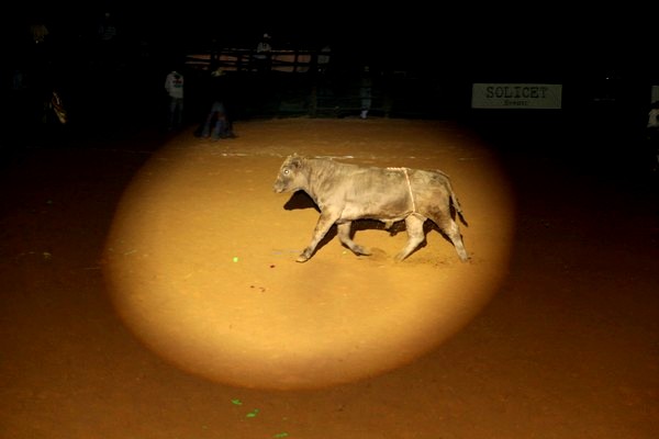 Rodeo and Wild West Festival